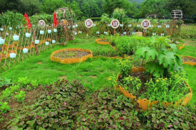 河北省中草药莳植康养休闲旅游旅行建设项目可行性研究报告